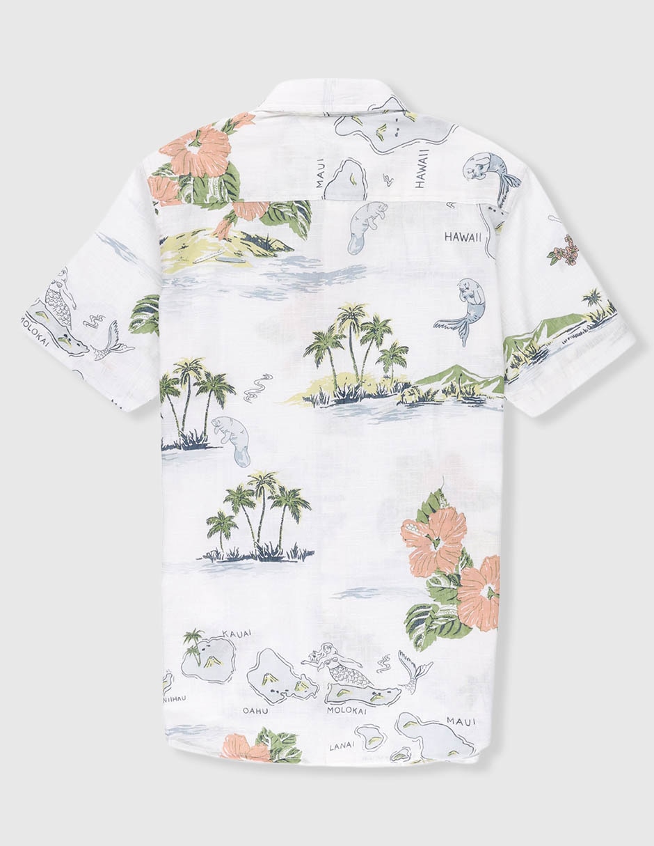 Camisa casual de algodón manga corta para niño 2